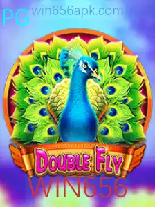 Explorando o Mundo de DoubleFly: Regras e Estratégias